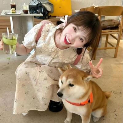 格雷斯 第三季